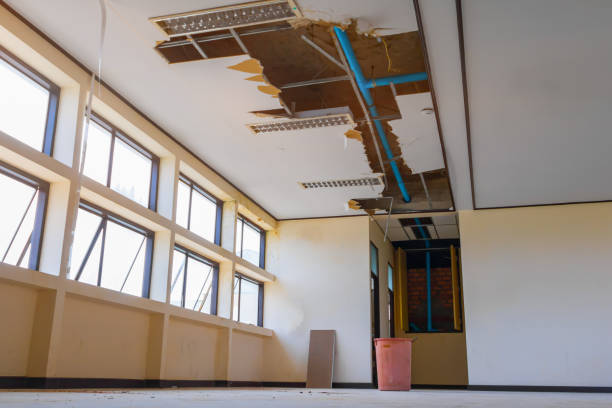 Best Water damage mitigation services  in Chinle, AZ