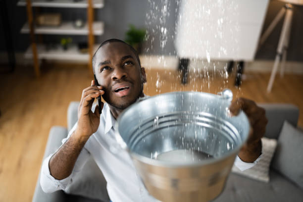 Best Mold removal after water damage  in Chinle, AZ