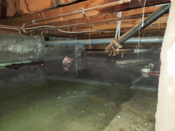 Best Fire Damage Restoration  in Chinle, AZ