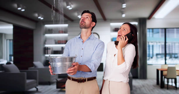 Best Local water damage restoration  in Chinle, AZ